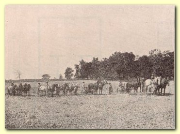 Typical Farm Scene in Madison County